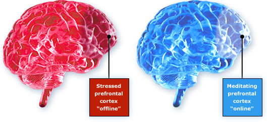 Impacts of Meditation on Brain